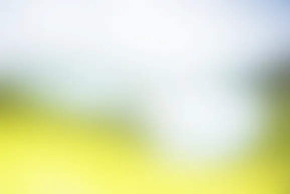 امايانتي كازينو الدعم